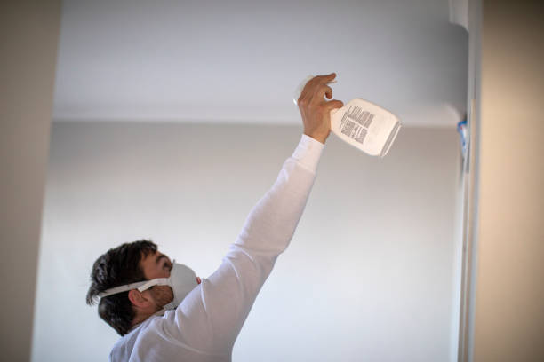 Best Professional Mold Removal  in Arvada, CO