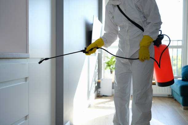 Best Mold Removal Process  in Arvada, CO